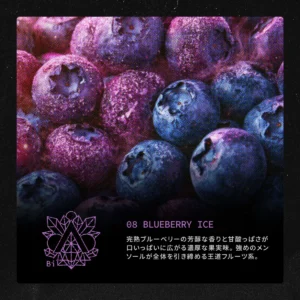 BLUEBERRY ICE (Nicotine 3％) フレーバーイメージ