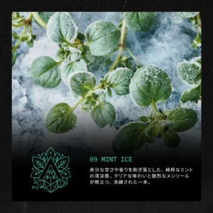 MINT ICE (Nicotine 3％) フレーバーイメージ